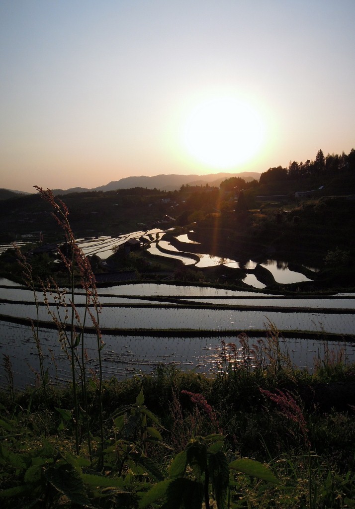 夕暮れ時の棚田　再び