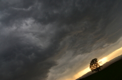 闇雲