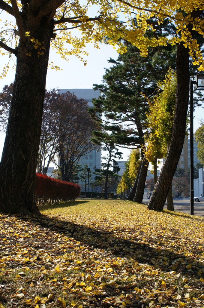 DSC00394