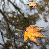 IMG_4797-1-2