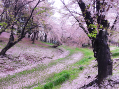 もう一度歩きたい