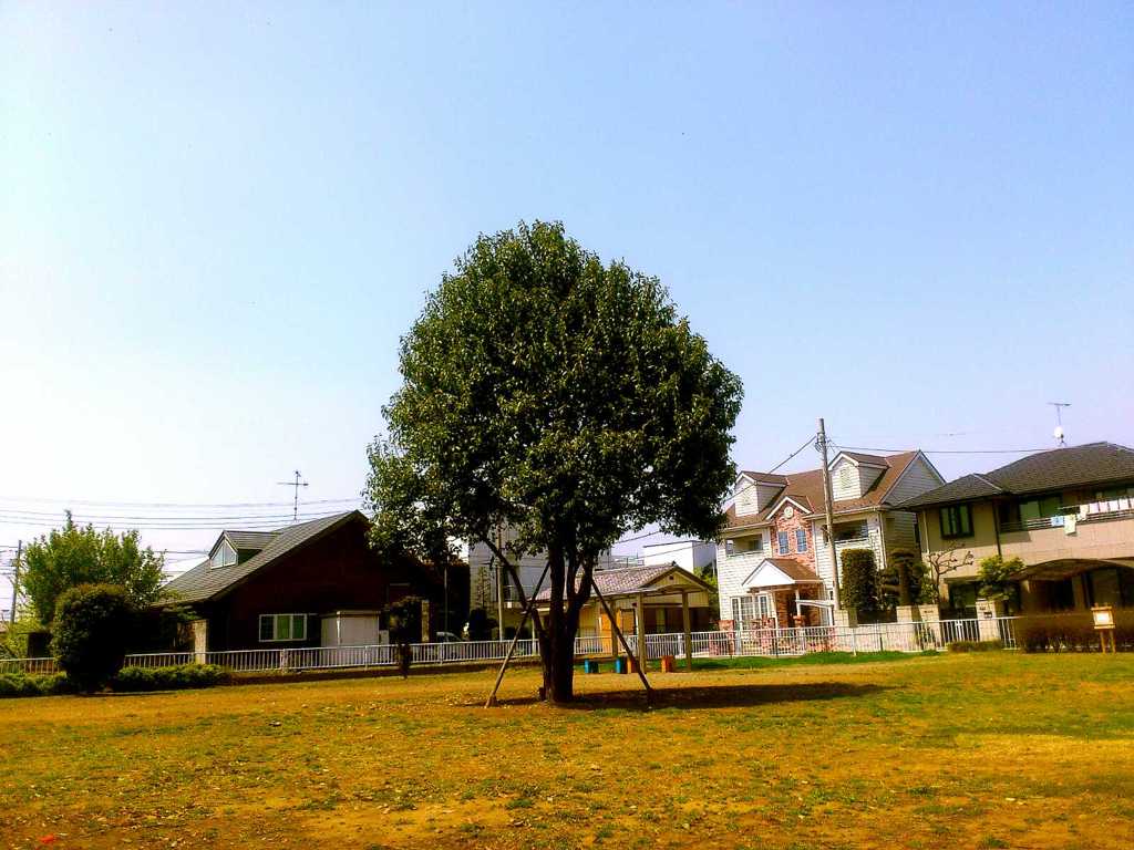 木