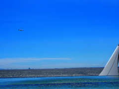 都会の海を見渡す