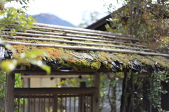 門
