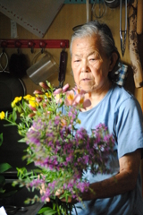 盆の花
