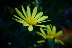 DSC01699
