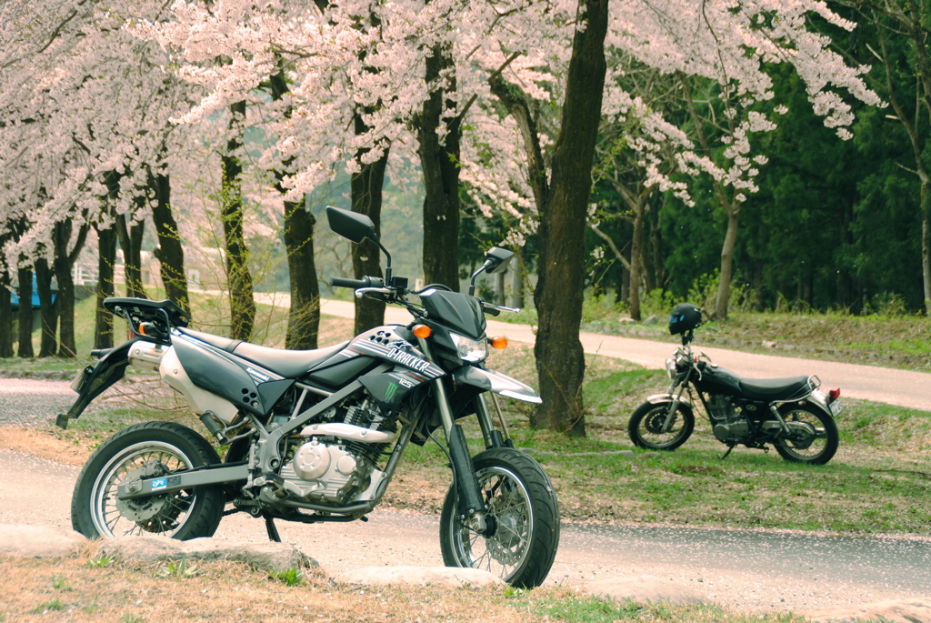 Dトラッカ－125とSR400