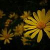 DSC01711