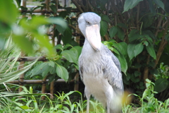 動かざること