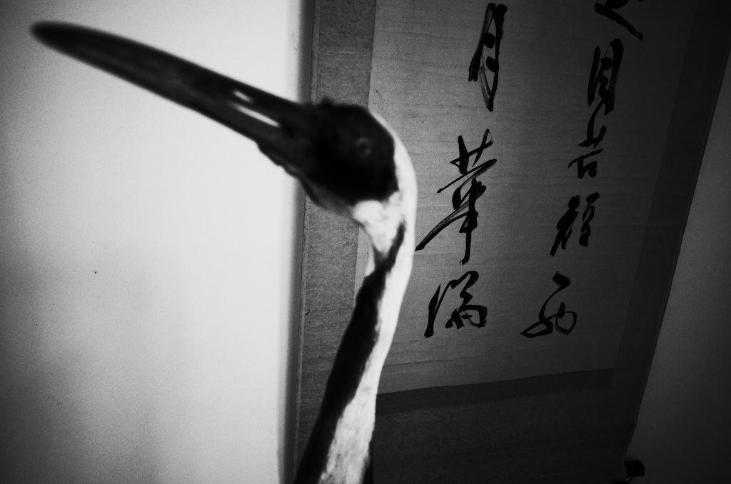 鶴