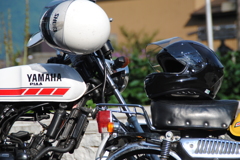 おしゃべりしようよ