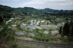 星峠の棚田