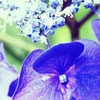 謙虚