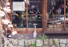 僕も入れて～