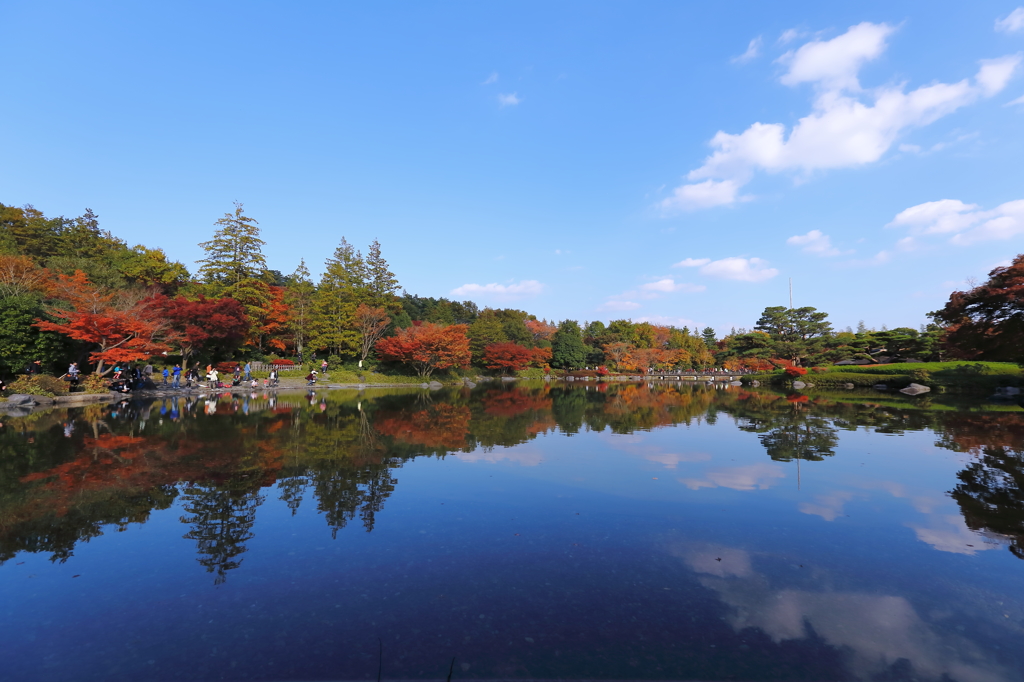 紅葉
