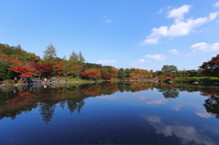 紅葉