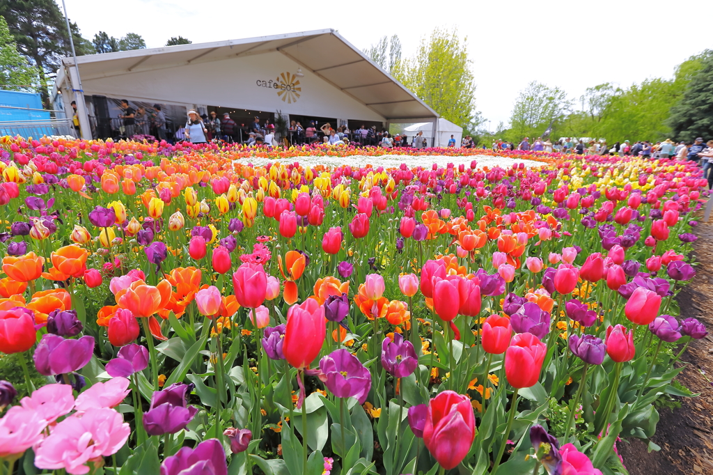 FLORIADE IN CANBERRA