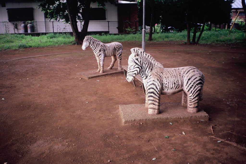 zebraの気持ち