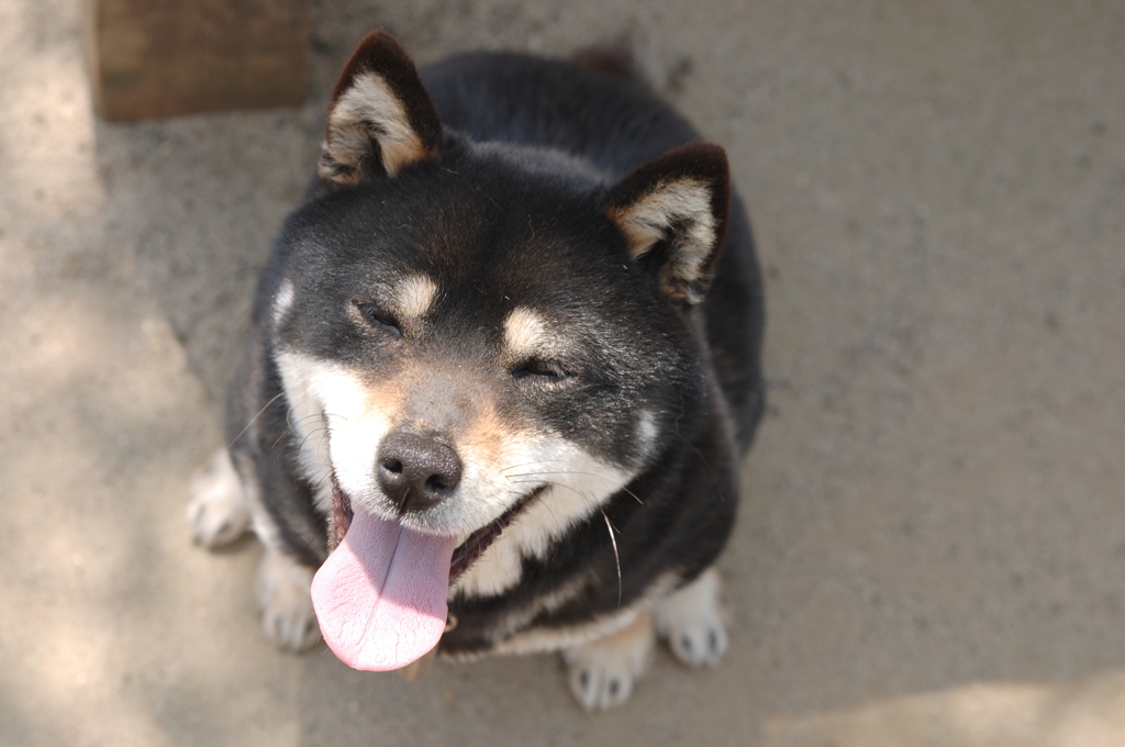 アヘッ