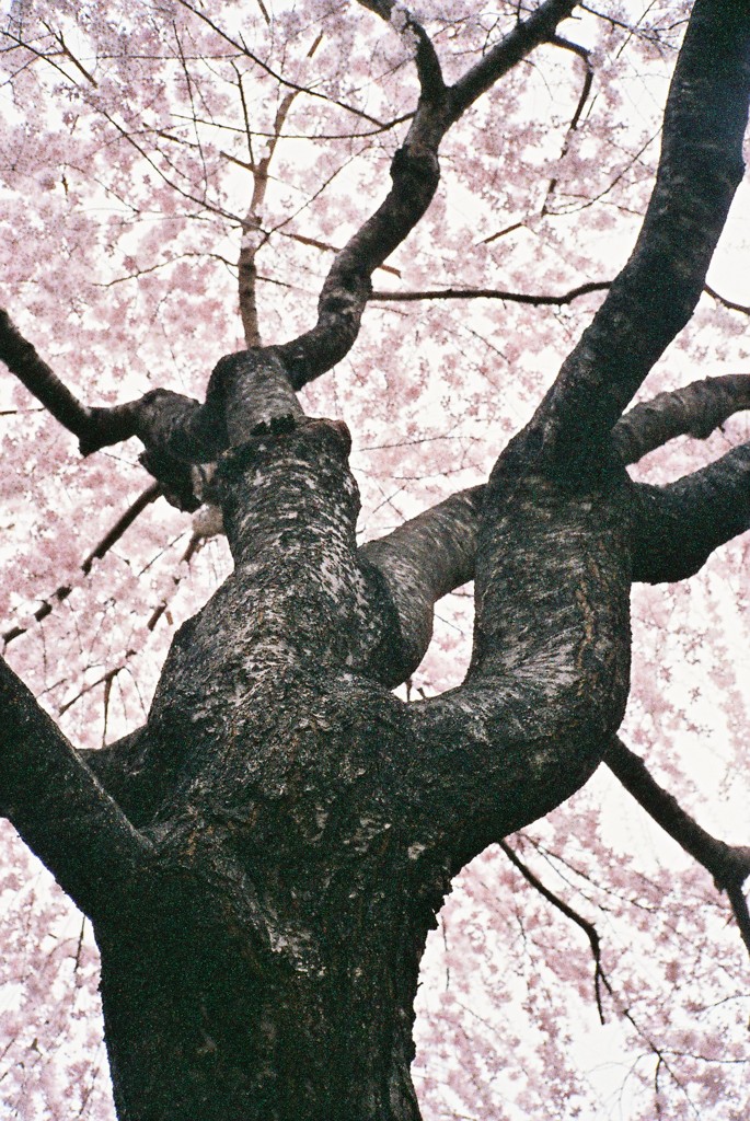 実在感