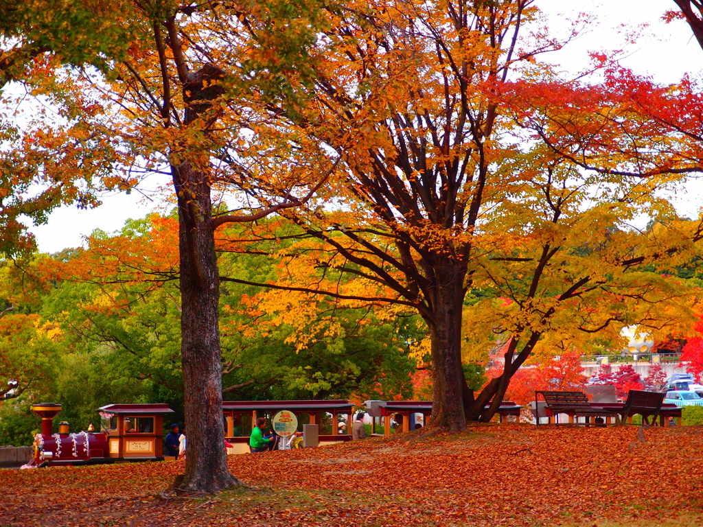 紅葉の間を抜けて
