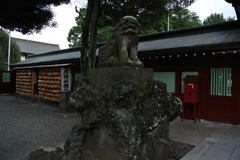 大國魂神社・狛犬