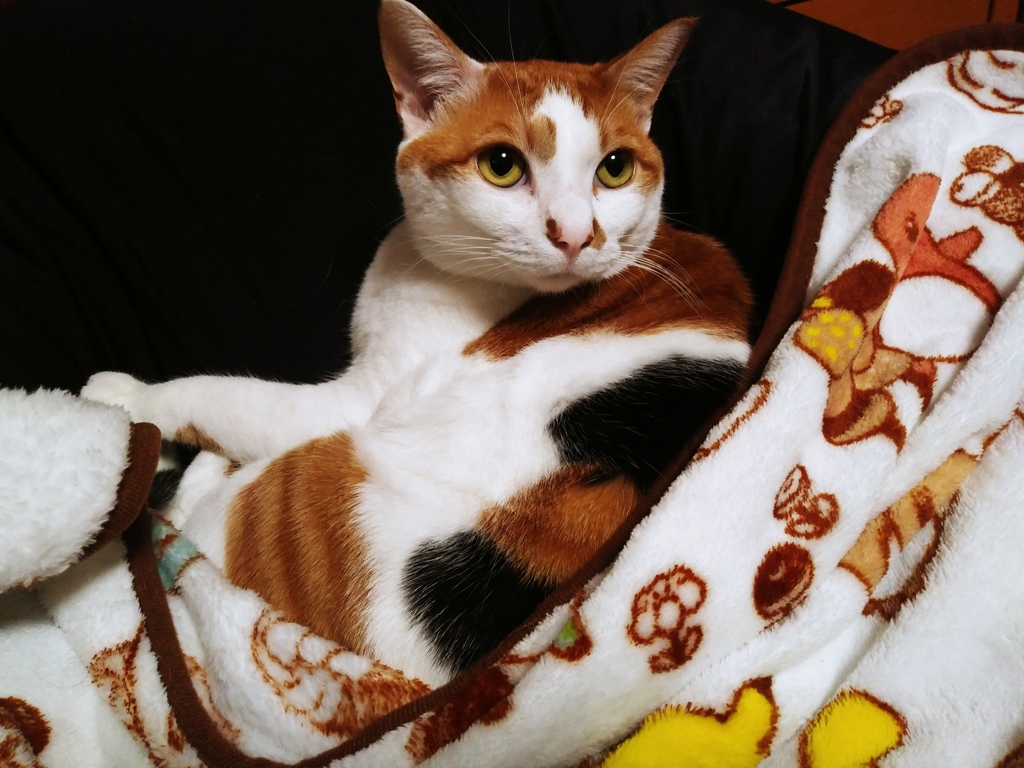 こちらをジッと見ている（笑）