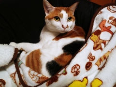 こちらをジッと見ている（笑）