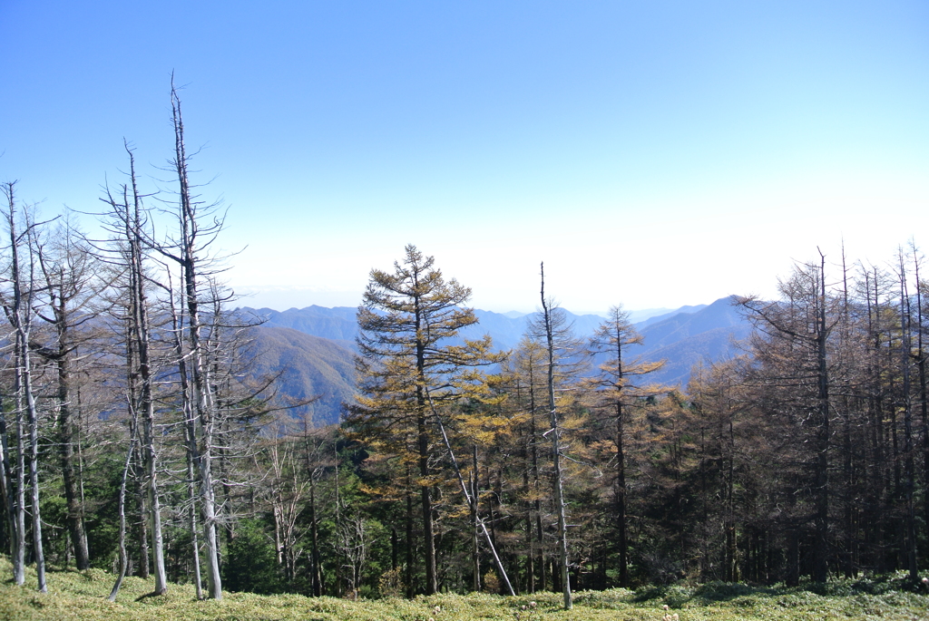 山荘から山頂までの景色