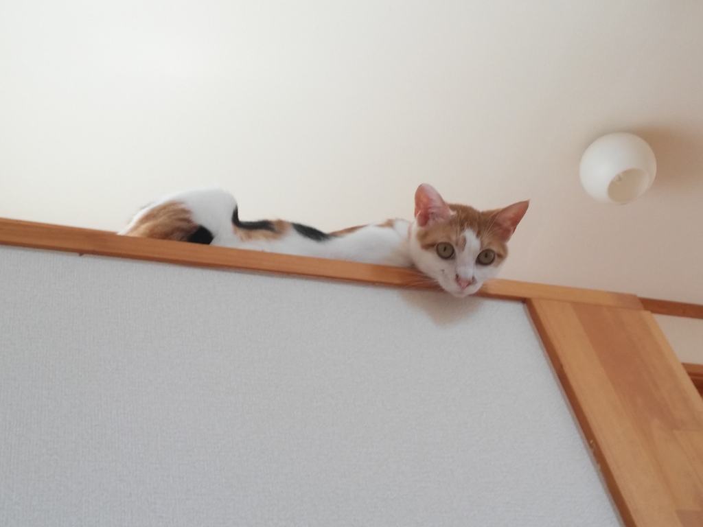 調子が良くなったような