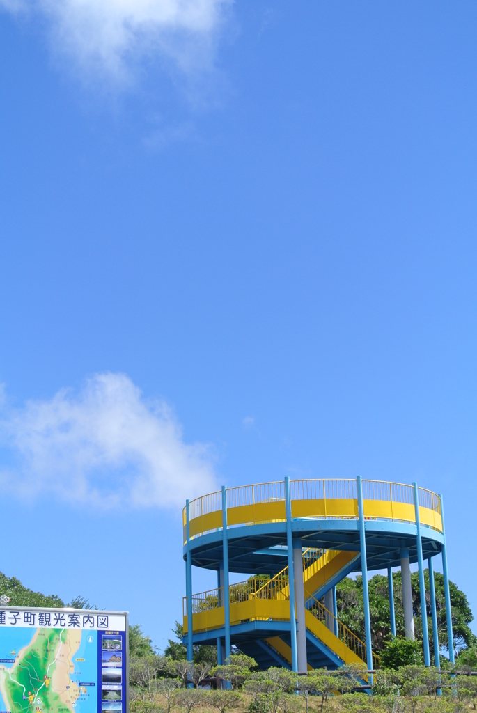 DSC_4651