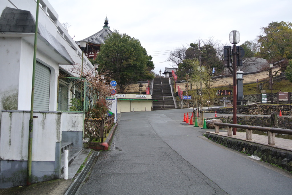 DSC_8455