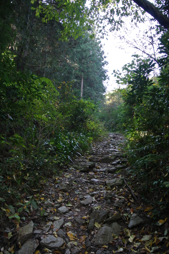 DSC_1072