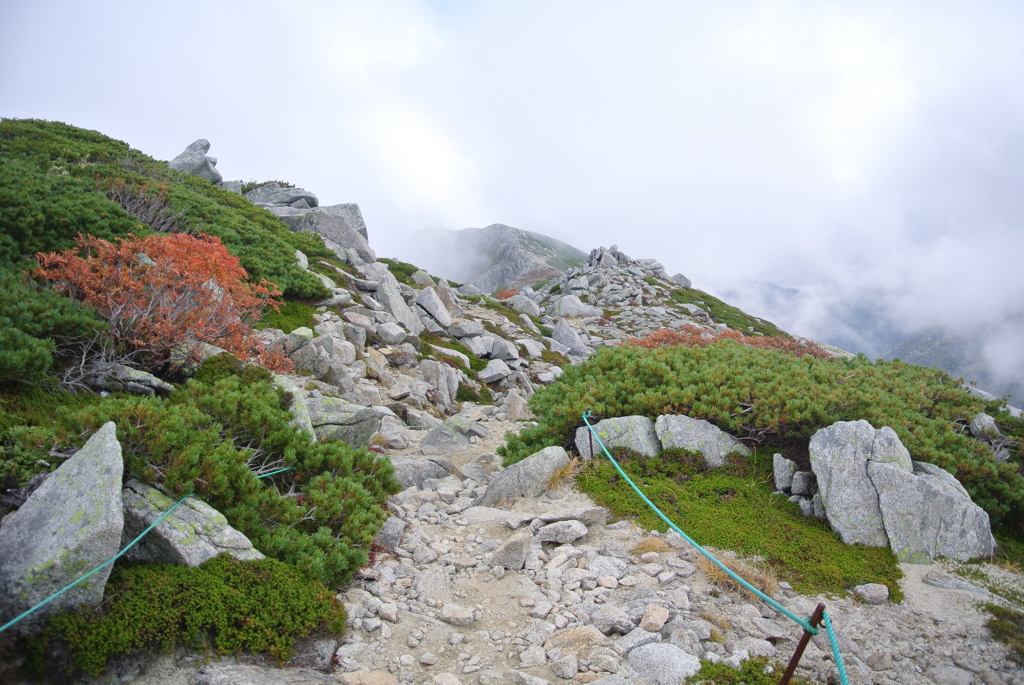 天空を歩いているみたいな登山道