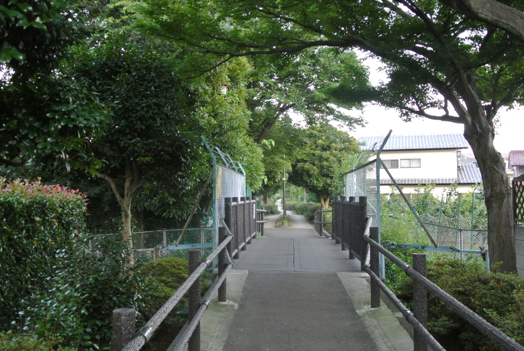 花の通学路