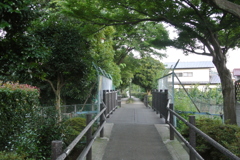 花の通学路