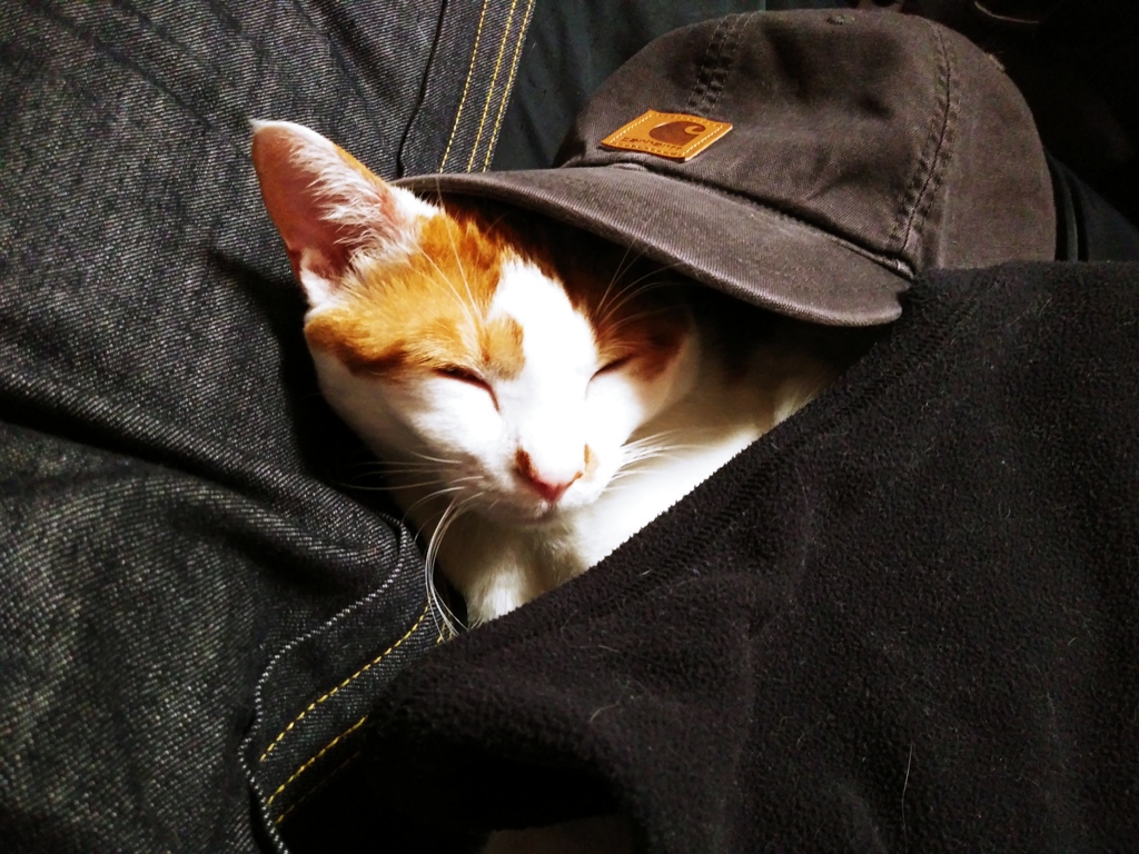 キャップを被ってどちらへ？