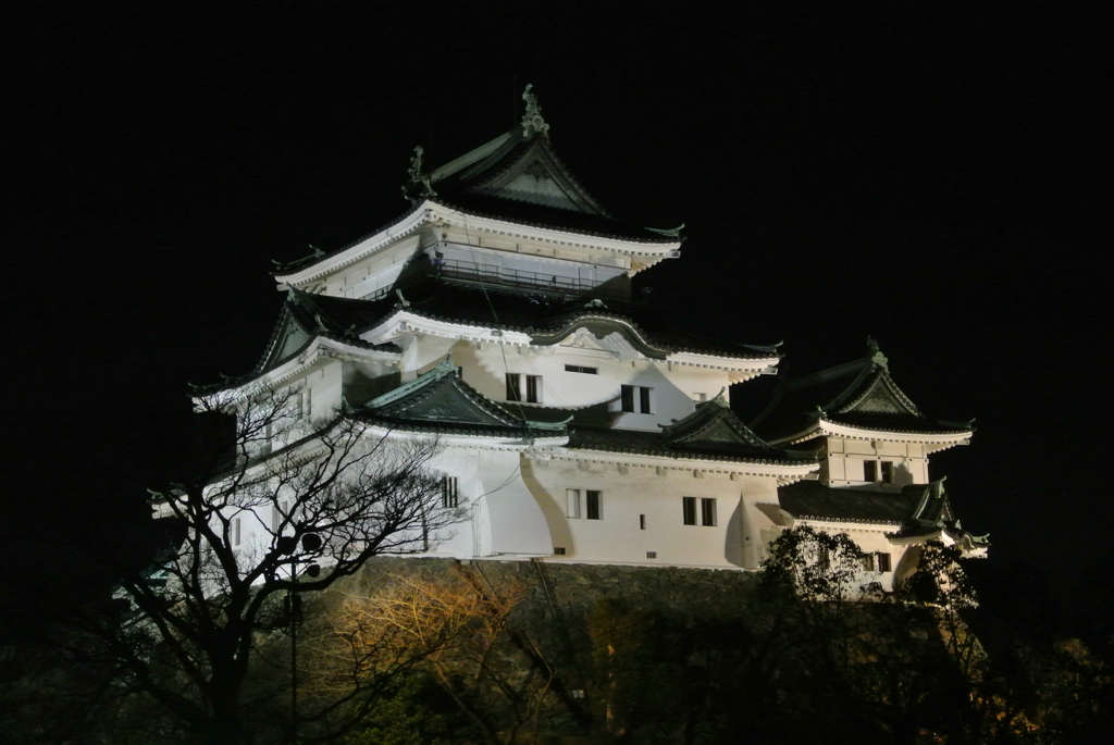 和歌山城