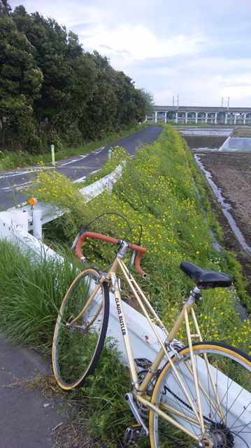 お洒落チャリの旅