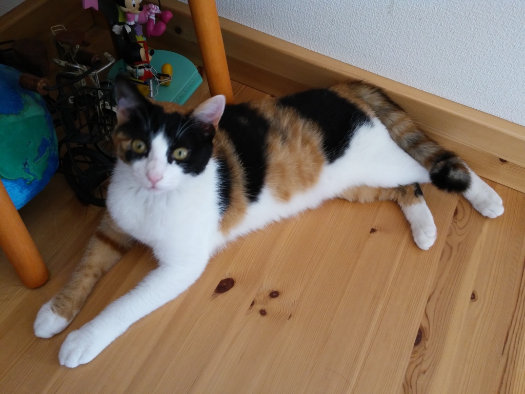 どちらへ行くんですか？