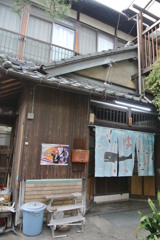 DSC_8069