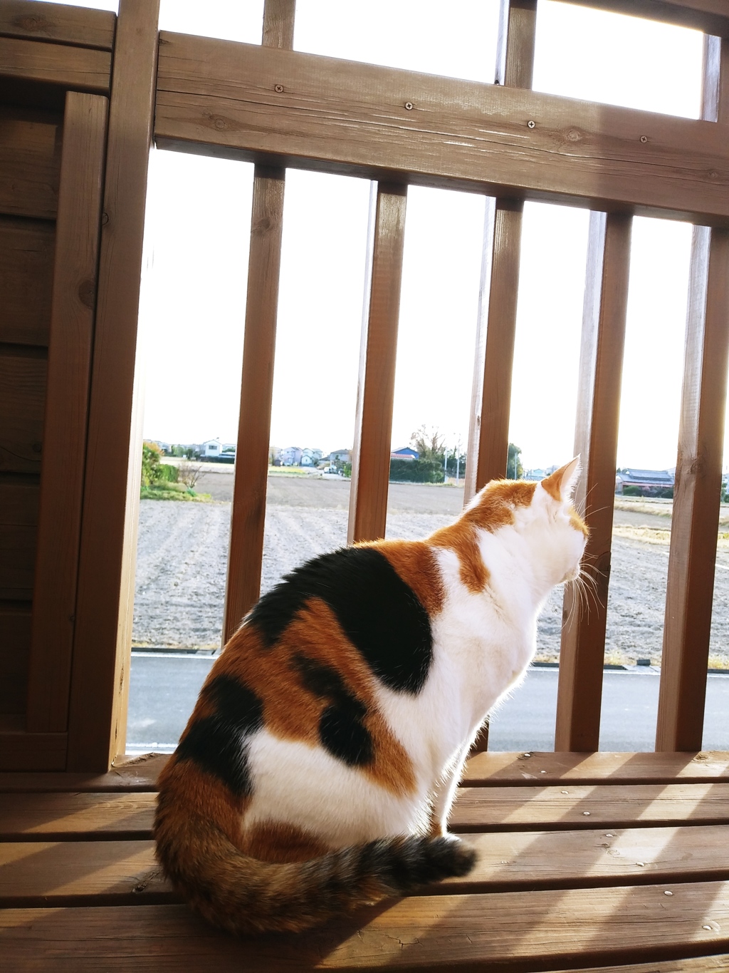 遠くを見て何を思う。