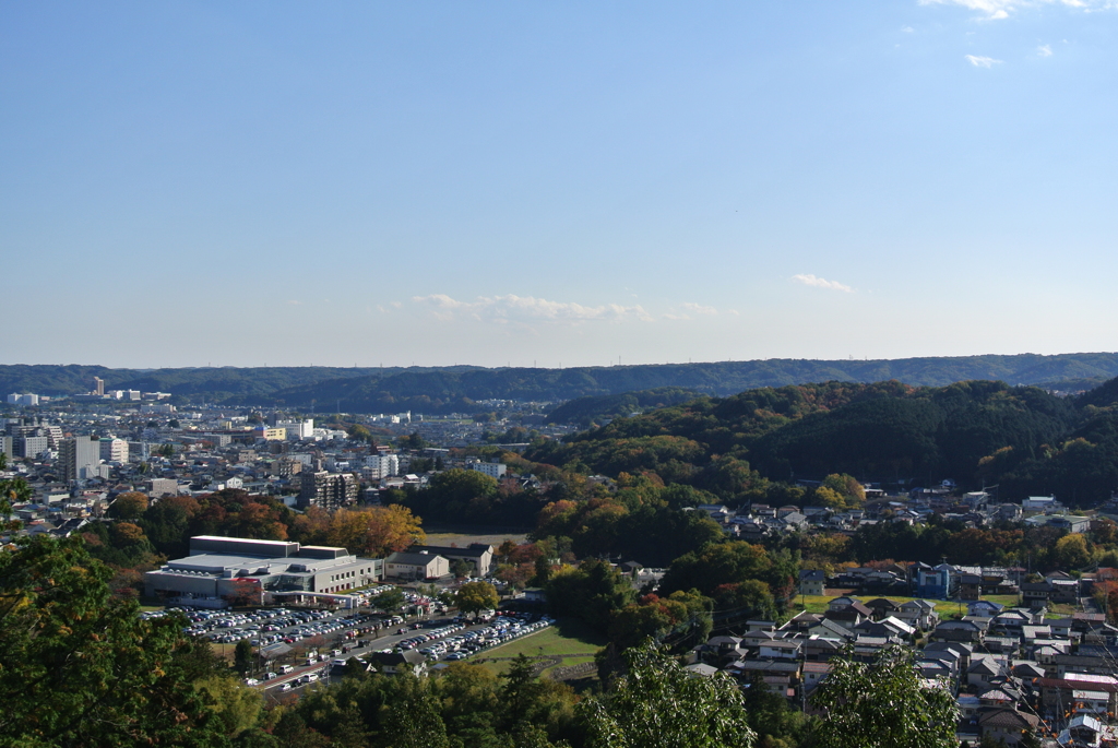 DSC_1590
