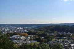 DSC_1590