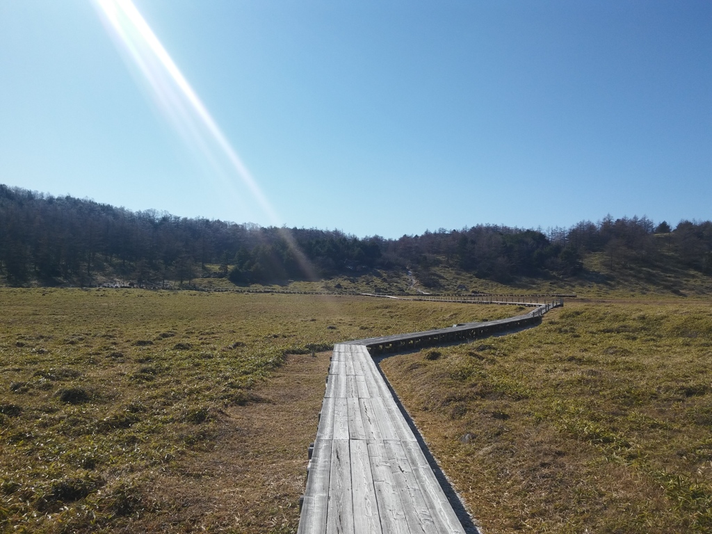 遊歩道を歩く