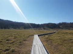 遊歩道を歩く