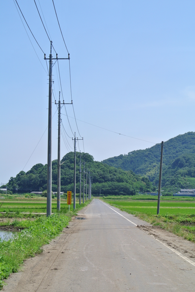 たんぼ道