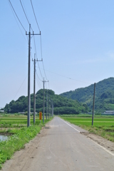 たんぼ道