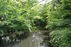 湯布院の自然