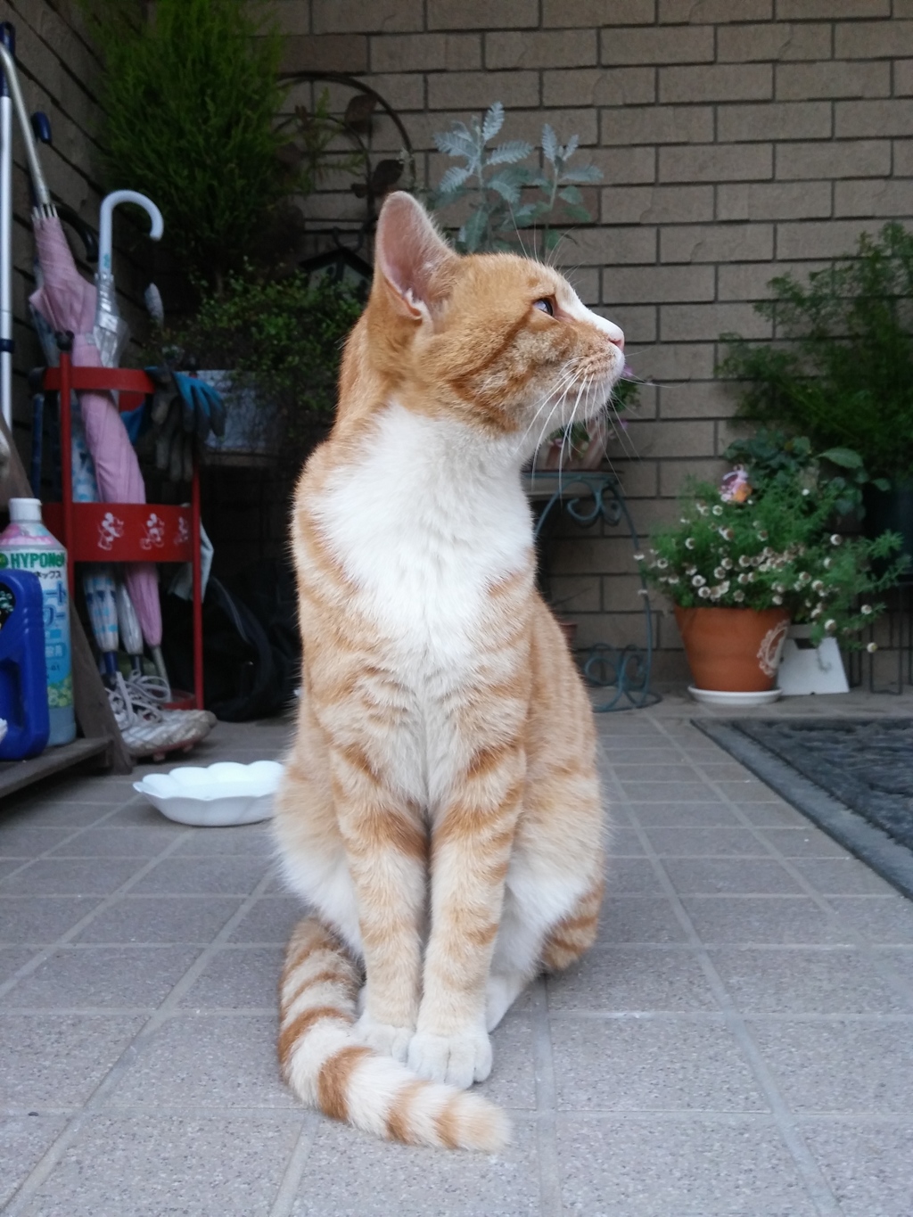 カメラ目線は、まだ早い